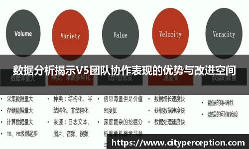 数据分析揭示V5团队协作表现的优势与改进空间
