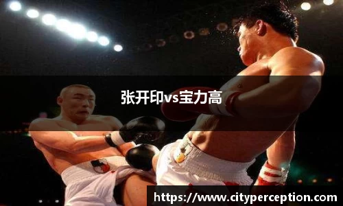张开印vs宝力高
