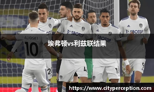 埃弗顿vs利兹联结果