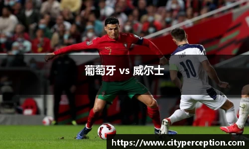 葡萄牙 vs 威尔士