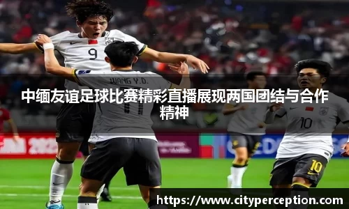 中缅友谊足球比赛精彩直播展现两国团结与合作精神