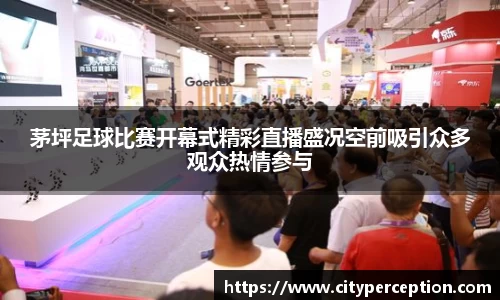 茅坪足球比赛开幕式精彩直播盛况空前吸引众多观众热情参与