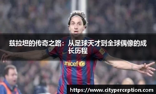 兹拉坦的传奇之路：从足球天才到全球偶像的成长历程