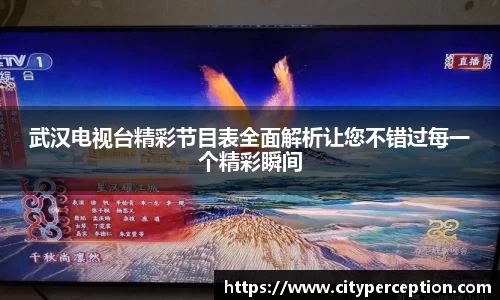 武汉电视台精彩节目表全面解析让您不错过每一个精彩瞬间